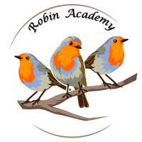 Robin Academy logo - Similar company to Robin