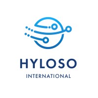 HyLoSo International logo - Similar company to Tpm Group
