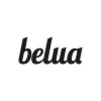 Belua Systems Ltd