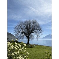 yanluong.co logo - Similar company to Pandella