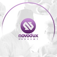 Novodux Academy logo - Similar company to Idental