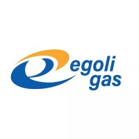 Egoli Gas (Pty) Ltd logo - Similar company to Easigas (Pty) Ltd