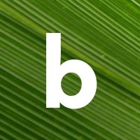 Banyan DAO logo - Similar company to Mars Electronics
