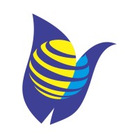 TULIP IT Consulting & Services logo - Similar company to It Techblazers