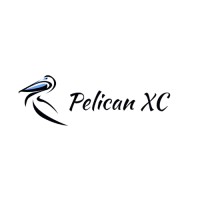 Pelican XC logo - Similar company to Win Win Advisors