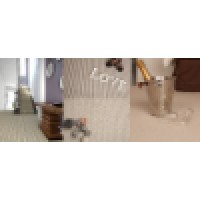 Melissa Edwards Carpets