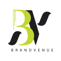 BrandVenue Innovations Ltd logo - Similar company to Baysuit Inc