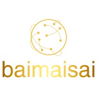 baimaisai logo - Similar company to Immoplug | Virtuelle Rundgänge