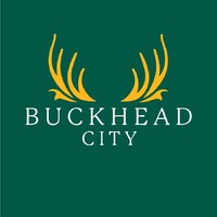 Buckhead City logo - Similar company to Georgia Drone Pros Llc