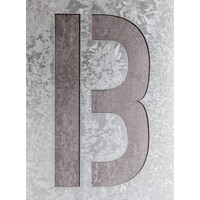 Bella The Brave! logo - Similar company to Eight Second Network