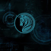 TECHRIDER™ logo - Similar company to Omicron Technology Solutions
