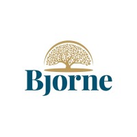 bjorne.nl logo - Similar company to Raylib Technologies