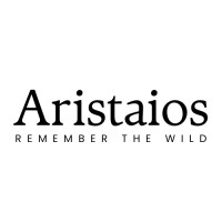 Aristaios logo - Similar company to Vybe Consulting