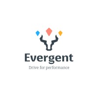 Evergent Investments logo - Similar company to Evergent