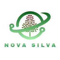 Nova Silva logo - Similar company to Stack Nova