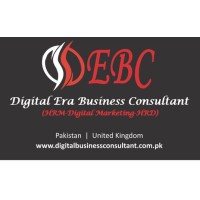 Digital Era Business Consultant logo - Similar company to Insertion Tech