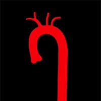 Think Aorta logo - Similar company to Share³
