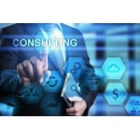 Freelance consulting services & training logo - Similar company to Pulse