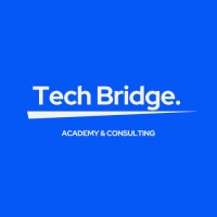 TechBridge Academy and Consulting, LLC logo - Similar company to Unveyl Technologies