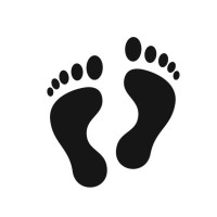 Barefoot Sander logo - Similar company to Lakefront