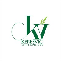 Keresvic Group logo - Similar company to Korlor