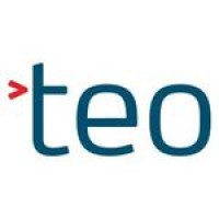 TEO Nordic logo - Similar company to Bentzen - Uafhængigt Netværk For Digitale Ledere & Specialister