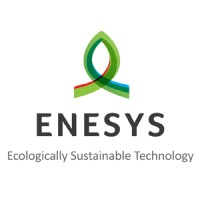 Enesys: Ecologically Sustainable Technology logo - Similar company to Amera Networks