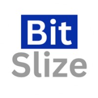 BitSlize Concepts logo - Similar company to Workhub24