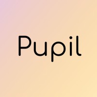 Pupil logo - Similar company to Payelo