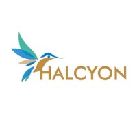 Halcyon Support