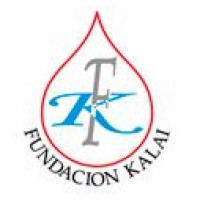 Fundación Karl Landsteiner in memoriam logo - Similar company to Alg Co S.A.S