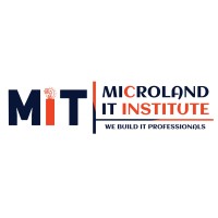 Microland IT Institute logo - Similar company to Devolved Ai