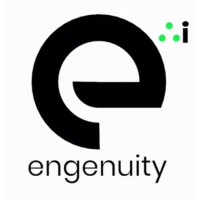EngenuityAi logo - Similar company to Intermediate Data Systems