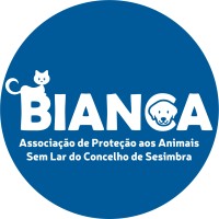 Bianca - Associação de Proteção aos Animais Sem Lar do Concelho de Sesimbra logo - Similar company to Neg - Núcleo De Estudantes De Gestão