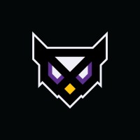 StrixMedia logo - Similar company to Electric Root