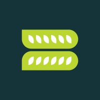 Borne logo - Similar company to Yo Soy Yo