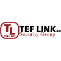 TEF LINK Security Group Inc logo - Similar company to My Managed Security Inc.
