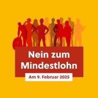 NEIN zum Mindestlohn Baselland logo - Similar company to Cannella & Partner Solutions Ag