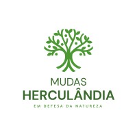 Mudas Herculândia logo - Similar company to Angico Group