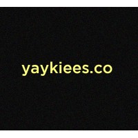 Yaykiees logo - Similar company to Datanovin