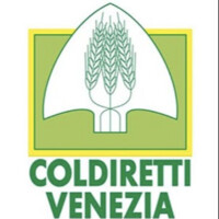 Coldiretti Venezia logo - Similar company to Coldiretti Veneto