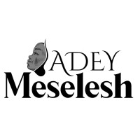 Adey Meselesh GmbH logo - Similar company to Futurel Consulting