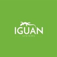 Iguan Systems LLC logo - Similar company to i-Tech