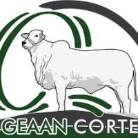 Geaan Corte - Grupo De Estudos Aplicados Ao Agronegócio