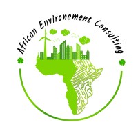 African Environment Consulting 
