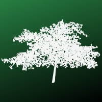 Banyanly - A Family Tree logo - Similar company to Tekfirm