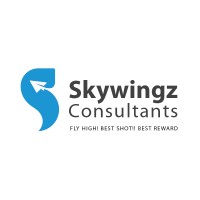Skywingz Consultants logo - Similar company to Buddy It Solutions Inc
