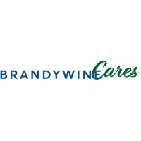 Brandywine Cares, Inc. logo - Similar company to Ucensys Research