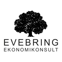 Evebring Ekonomikonsult AB logo - Similar company to Cloudgruppen Halmstad