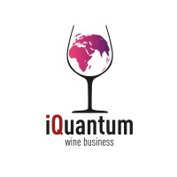 I-QUANTUM logo - Similar company to 🔴 Qaimeta Quantum-Ai-Metaverse Strategies
